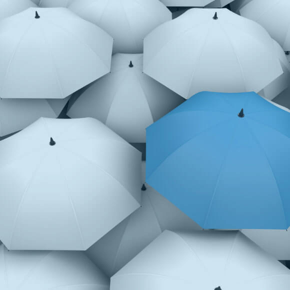Commercial Umbrella Insurance | Merit Insurance Brokers Inc.