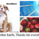 Earth Month: Protection for You, Your Business, and the Environment