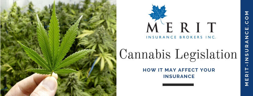 Cannabis Legislation & Insurance
