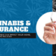 Marijuana And Your Insurance - Everything You Need To Know | Merit Insurance
