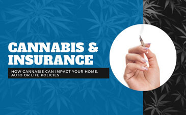 Marijuana And Your Insurance - Everything You Need To Know | Merit Insurance