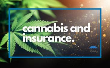 Cannabis Insurance | Merit Insurance Brokers Inc., Toronto, Waterdown, Ontario