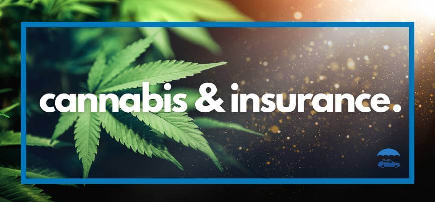 Cannabis Insurance | Merit Insurance Brokers Inc., Toronto, Waterdown, Ontario