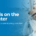Tails on the Water: A Guide to Safe Boating with Pets | Merit Insurance Brokers Inc., Toronto, Waterdown, Ontario, Canada