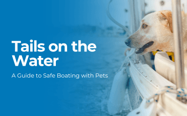 Tails on the Water: A Guide to Safe Boating with Pets | Merit Insurance Brokers Inc., Toronto, Waterdown, Ontario, Canada
