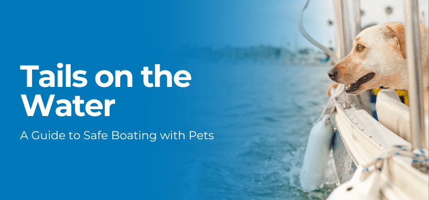 Tails on the Water: A Guide to Safe Boating with Pets | Merit Insurance Brokers Inc., Toronto, Waterdown, Ontario, Canada